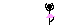 Copkadin