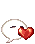 Kalpli2
